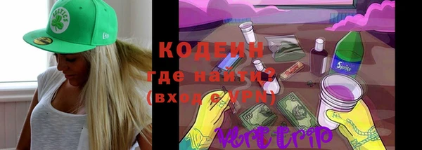spice Богданович