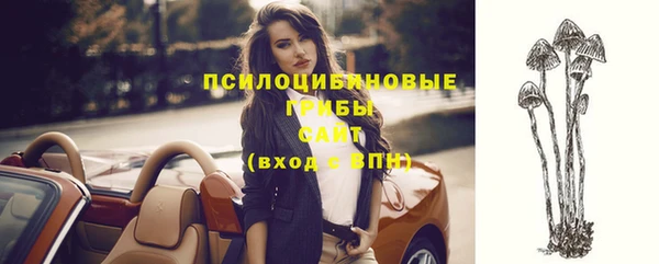 шишки Бугульма