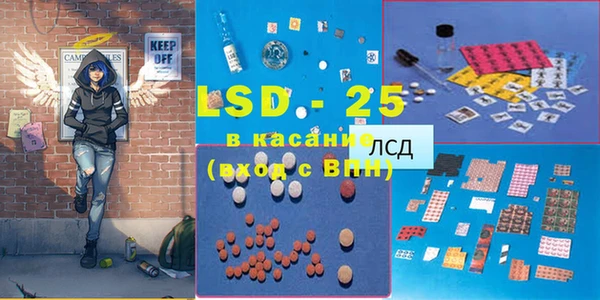 spice Богданович
